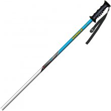 Лыжные палки Vipole Rental Alu Jr 95